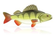 fruits de mer pour pancréatite